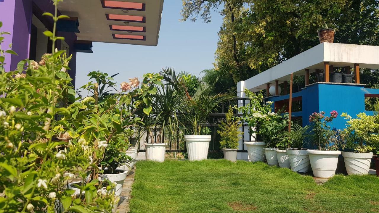 Forest Inn Home Stay Ντεχραντούν Εξωτερικό φωτογραφία